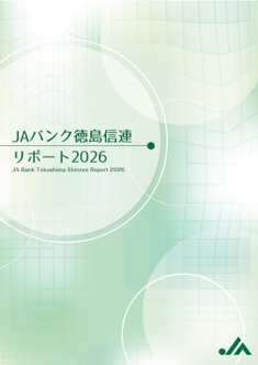 2026年版